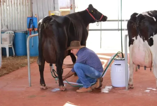 Foto mostra produtores, público e animais durante a Festa do Leite no Parque de Exposições de Orizona.