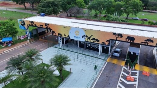 Zoológico de Brasília confirma caso de gripe aviária e permanece fechado